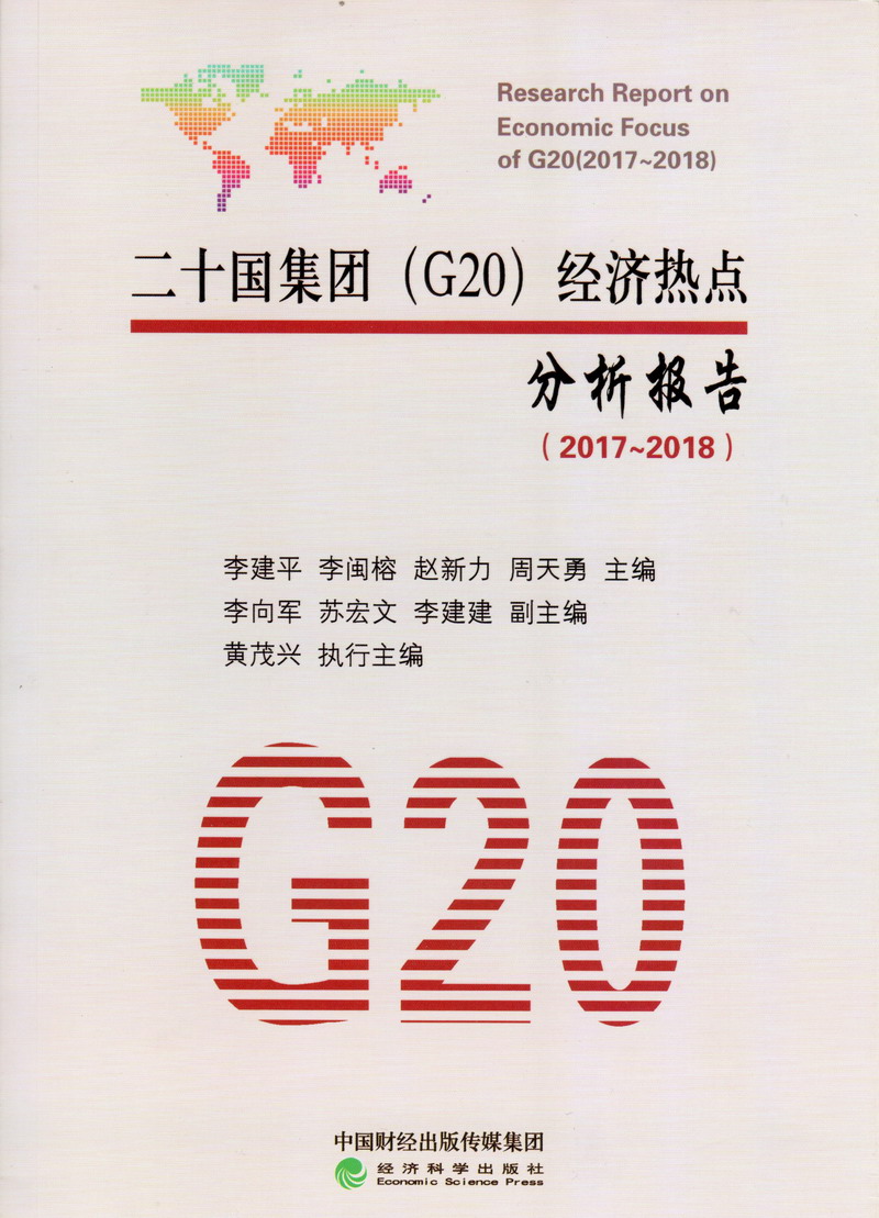 操嫩逼精品网络二十国集团（G20）经济热点分析报告（2017-2018）